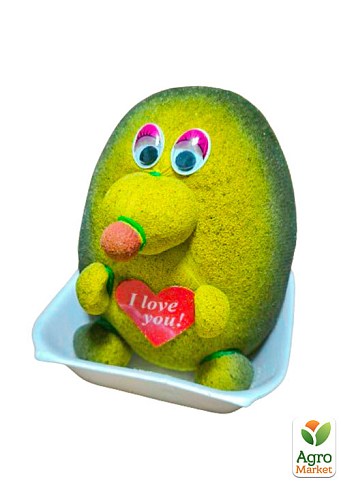 Набір для вирощування Трав'янчик Крот (I love you)