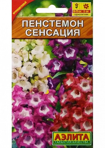 Пенстемон "Сенсація" ТМ "Аеліта" 0,1г NEW