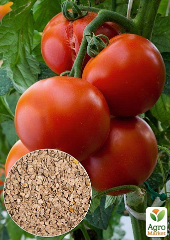 На вагу Томат "Гібрид Тарасенко 6" ТМ "Весна" ціна за 1г