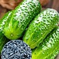 На развес Огурец обработанный "Гейм" ТМ "Весна" цена за 1г
