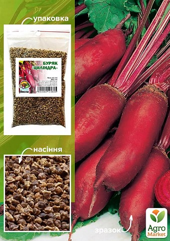 Свекла "Цилиндра" ТМ "Весна" 100г