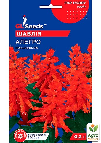 Сальвия "Аллегро" ТМ "GL SEEDS" 0,1г