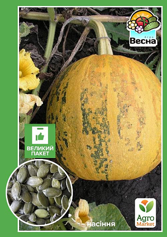 Гарбуз "Голонасінний" (Великий пакет) ТМ "Весна" 8г