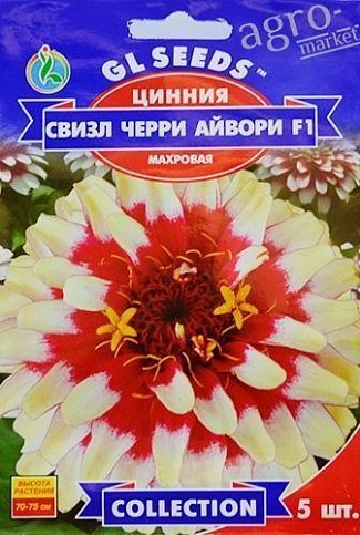 Цинія "свізл черрі айвори F1" ТМ "GL SEEDS" 5шт