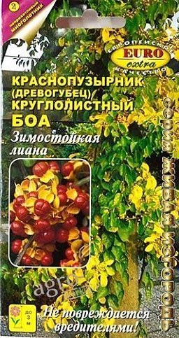 Краснопузирнік (древогубец) "круглолістной боа" ТМ "Аеліта" 0.1г