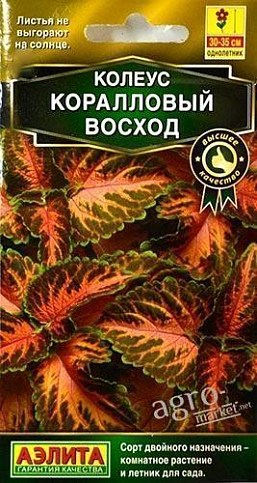 Колеус "Кораловий схід" ТМ "Аеліта" 10шт