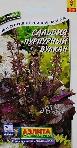 Сальвия "Пурпурный вулкан" ТМ "АЭЛИТА" 7шт