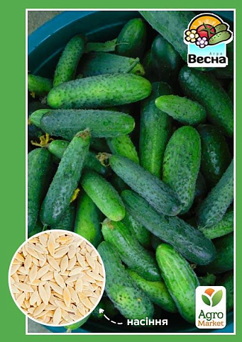 Огурец "Регина F1" ТМ "Весна" 0.25г