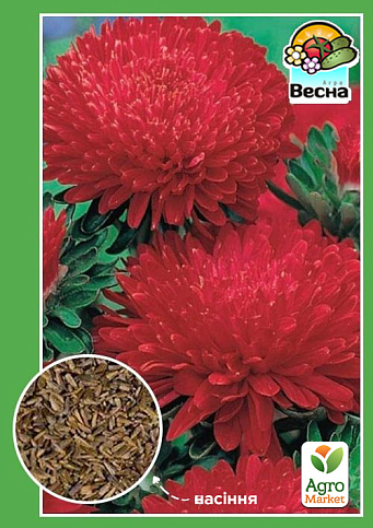 Айстра "Букетна" червона ТМ "Весна" 0.2г