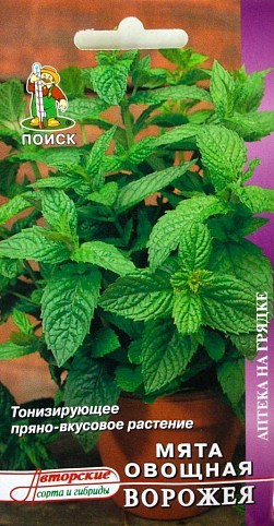 Мята овощная "Ворожея" ТМ "Поиск" 0.1г