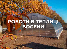 Що робити в теплиці восени: покроковий план робіт | Agro-market