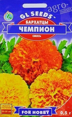 Чорнобривці "Чемпіон" ТМ "GL SEEDS" 0,5г