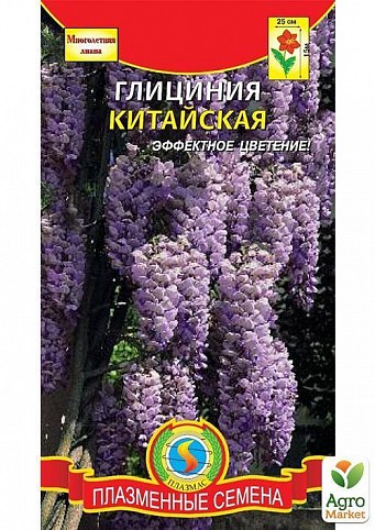 Глициния китайская  ТМ "Плазменные семена" 2шт
