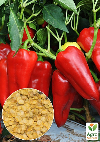 На развес Перец "Красный бивень" ТМ "Весна" цена за 1г