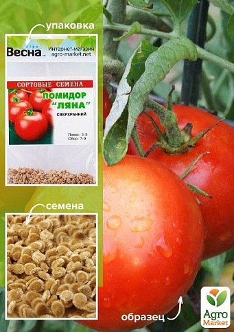 Томат "Ляна" (Зипер) ТМ "Весна" 0,5г