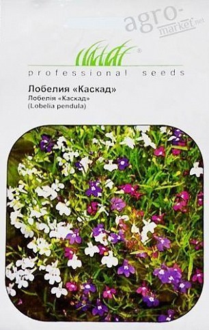 Лобелія "Каскад" ТМ "Hem Zaden" 0.1г