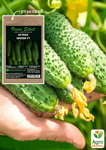 Огурец "Шоша F1" ТМ "Vesna Select" 5шт