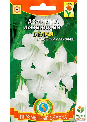 Азаріна лазающая "Біла" ТМ "Плазмові насіння" 10шт NEW