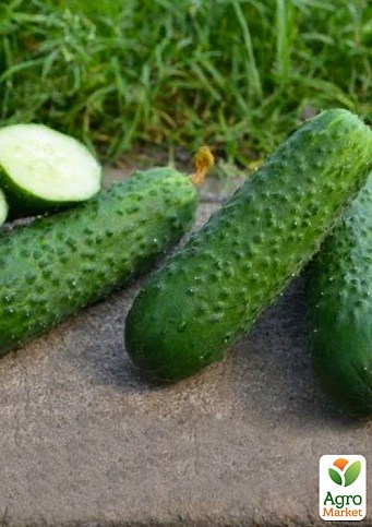 Огірок партенокарпічний «Унікум F1» ТМ «Lark Seeds» 100шт