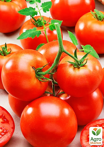 Томат "Ранний 83" (Большой пакет) ТМ "Весна" 0,5г - фото 2