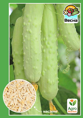 Огірок "Білий ангел" ТМ "Весна" 0.25г