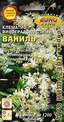 Клематис вінограднолістний "Ваніль" ТМ "Аеліта" 0.1г
