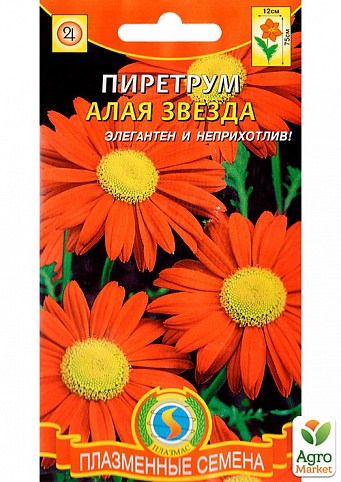 Пиретрум "Червона зірка F1" ТМ "Плазмові насіння" NEW