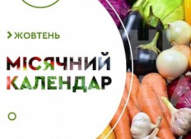 Місячний посівний календар на жовтень 2021 - корисні статті про садівництво від Agro-Market