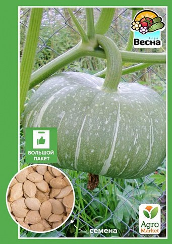 Тыква "Ждана" (Большой пакет) ТМ "Весна" 8г