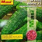 Огірок "Борус F1" ТМ "Май" 25-30шт