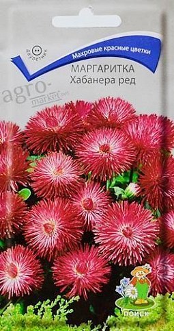 Маргаритка "Хабанера ред" ТМ "Поиск" 15шт