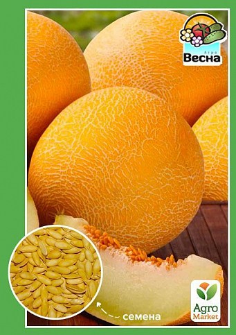 Дыня "Тавричанка" ТМ "Весна"  1.5г