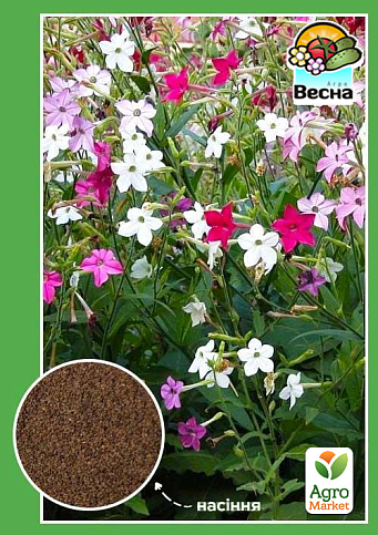Насіння Тютюн запашний суміш ТМ "Весна" 0.2г