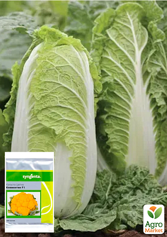 Капуста цвітна "Клементин F1" ТМ "Syngenta" 1000шт