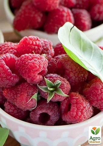 Малина "Маравилла" - фото 4