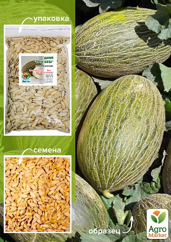 Дыня "Грин бэби" ТМ "Весна" 100г