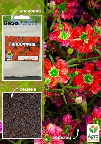 Гипсофила красная (Зипер) ТМ "Весна" 1г