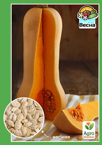 Тыква "Гитара" ТМ "Весна" 2г