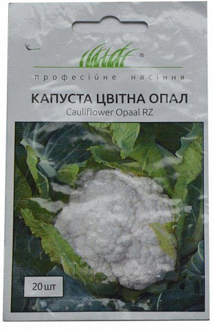 Капуста цвітна "Опал" ТМ "Hem Zaden" 20шт