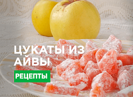 Цукати з айви - корисні статті про садівництво від Agro-Market