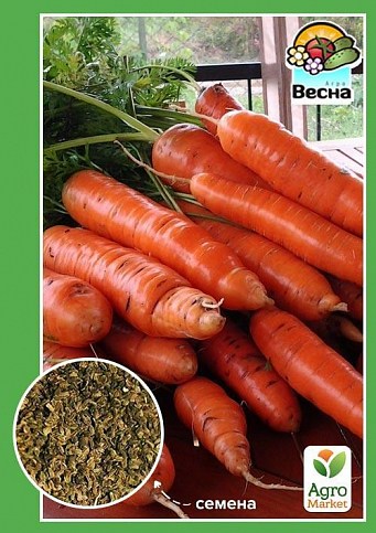 Морковь "Флакко" ТМ "Весна" 2г