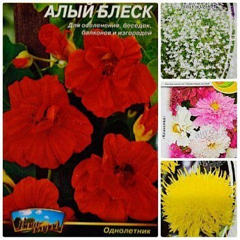 Комплект семян цветов "Туманое утро" 5уп