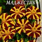 Бархатцы "Маджестик" ТМ "Семена Украины" 0.3г