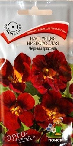 Настурция низкорослая "Черный трюфель" ТМ "Поиск" 1г