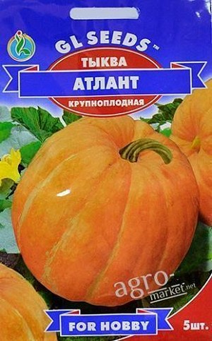 Тыква "Атлант" ТМ "GL SEEDS" 5шт