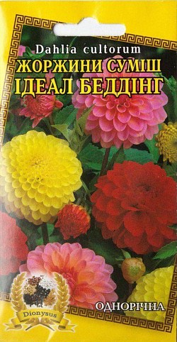 Жоржина суміш "Ідеал Беддінг" ТМ "Dionysus" 0.3г