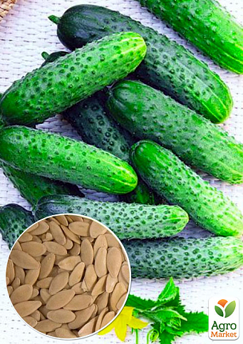 На развес Огурец  "Хвост мышонка" ТМ "Весна" цена за 1г