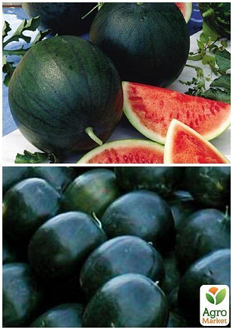 На вагу Кавун "Красень" ТМ "Весна" ціна за 6г - фото 4