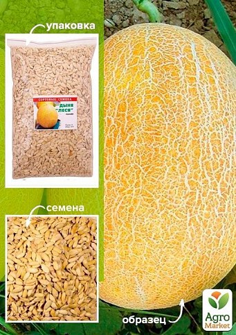 Дыня "Леся" ТМ "Весна" 500г