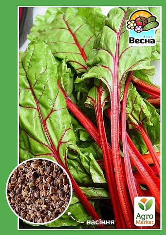 Мангольд ТМ "Весна" 1,5г